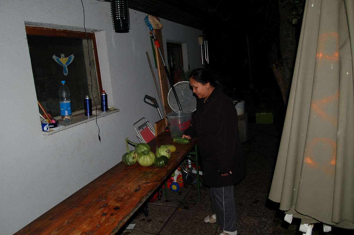 DSC_7525.JPG