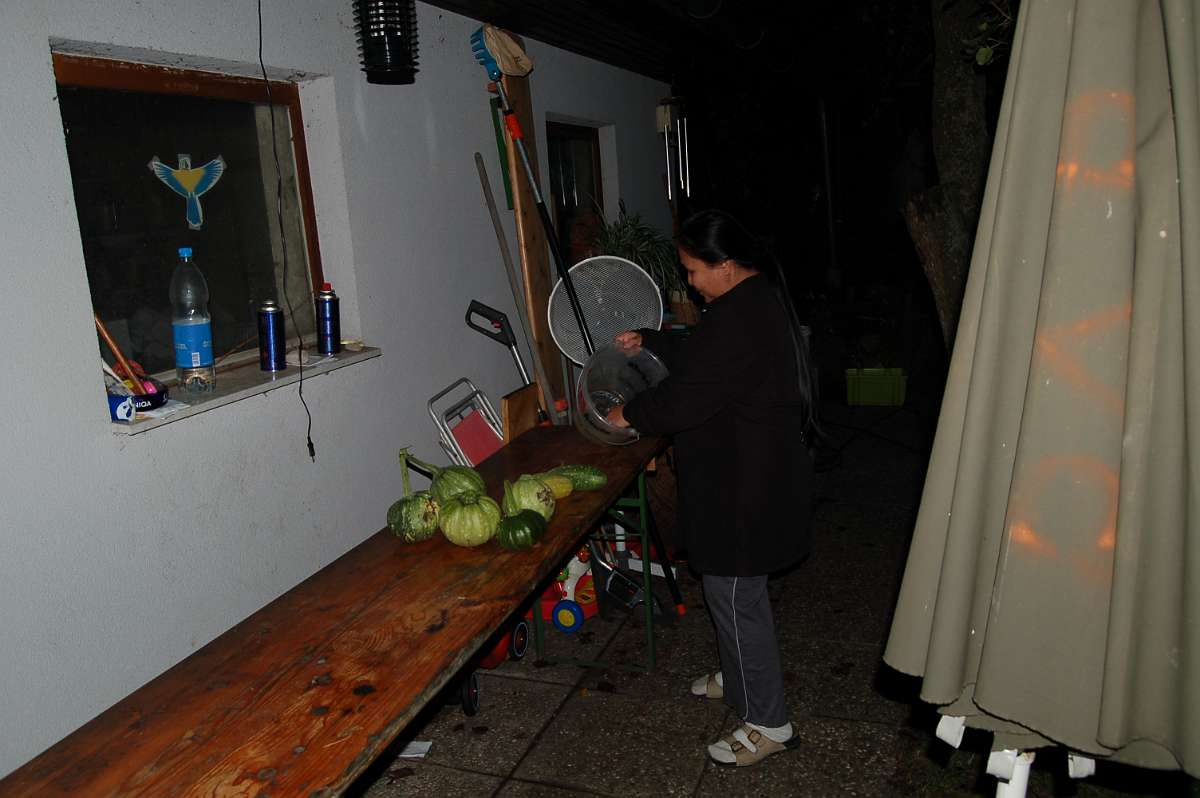 DSC_7526.JPG