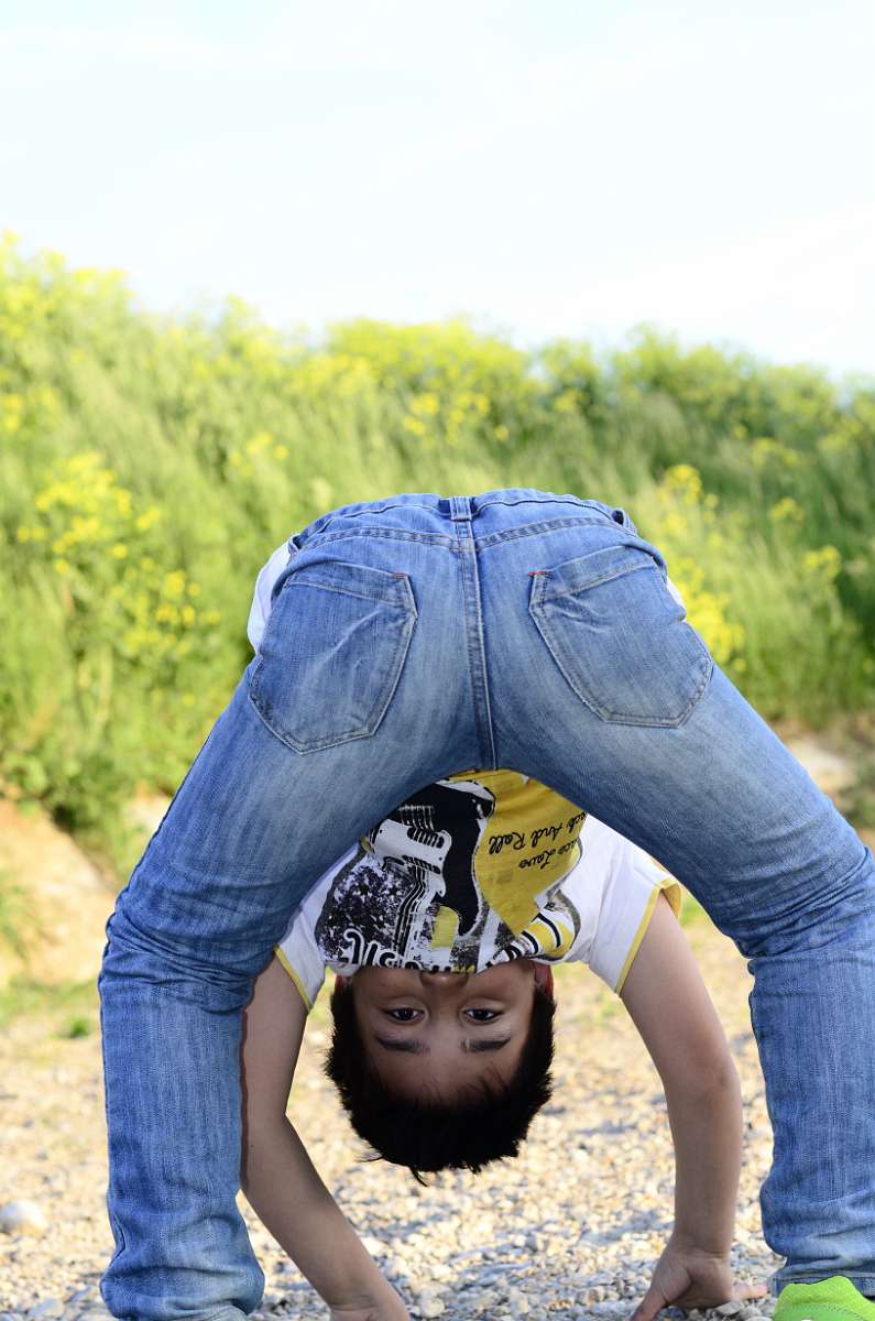 pic_0287.jpg - 7067294