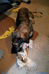 ProShot_20151206_083730