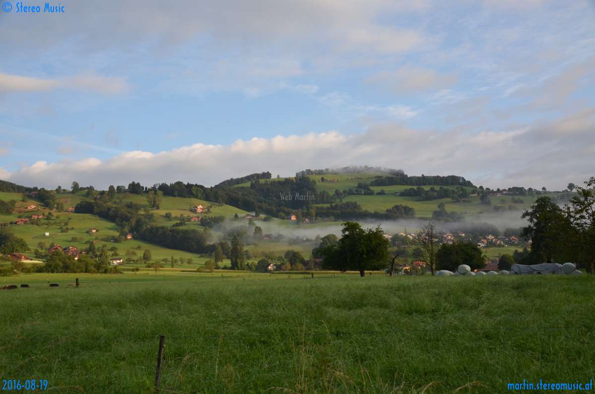 pic_0972.jpg - 6519171