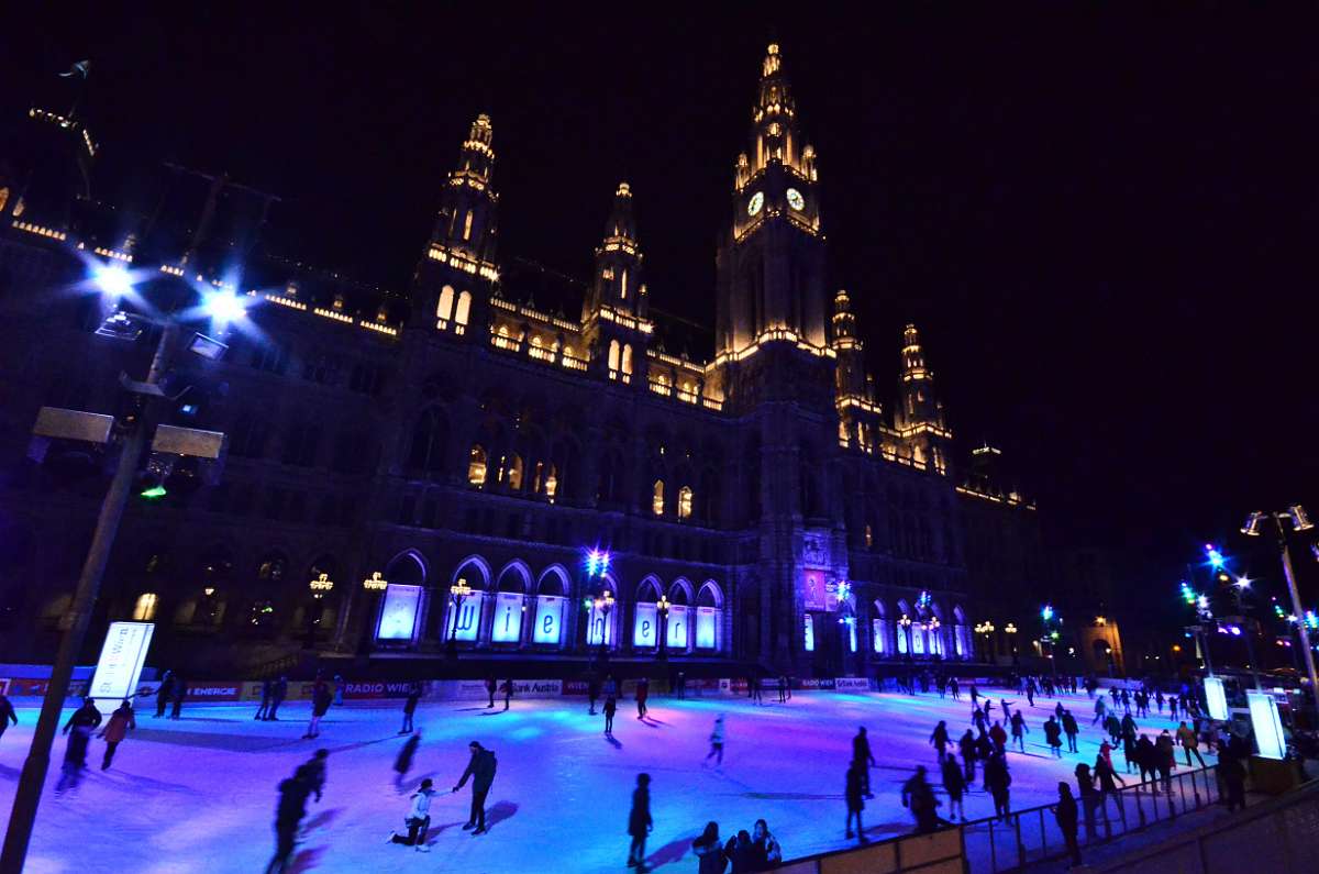 IMG_9961.JPG - 1782991