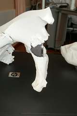 ProShot_20180418_103417