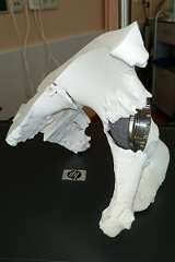 ProShot_20180418_104515