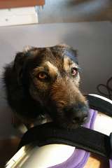 ProShot_20180601_150449_1