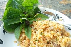 ProShot_20180725_123708