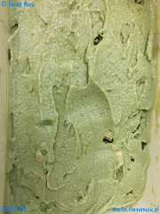 20180730-141202-pic_003