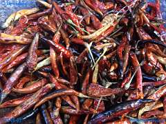 20180803-191608-pic_018