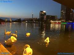 20180818-203359-pic_043