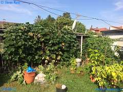 20180823-092250-pic_047