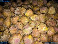 20180824-164814-pic_048