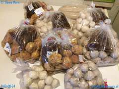 20180824-171125-pic_049