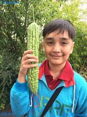 20180903-113900-pic_063