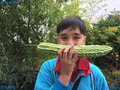 20180903-113910-pic_064