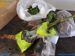 20180906-091745-pic_073