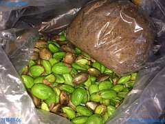 20180906-133901-pic_074