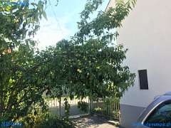 20180909-160242-pic_090