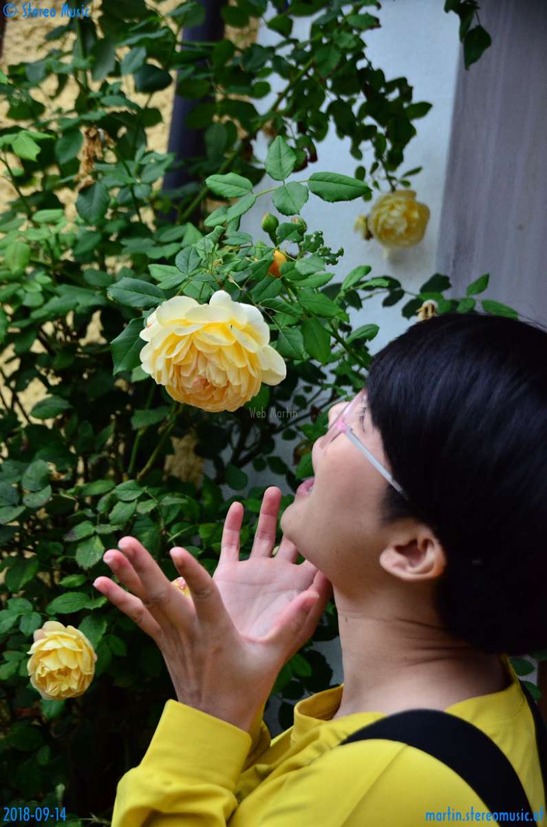 20180914-111000-pic_141.jpg - 9540969