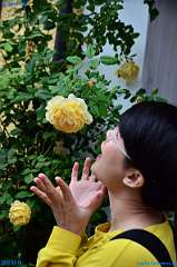 20180914-111000-pic_141