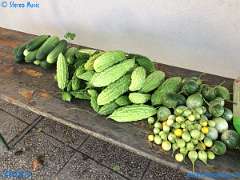 20180920-103352-pic_197