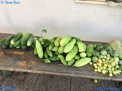 20180920-103408-pic_198