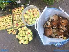 20180921-172906-pic_206