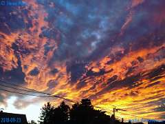 20180923-185652-pic_208