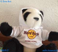 20180927-081947-pic_213