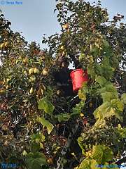 20181018-163215-pic_254