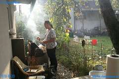 20181020-122528-pic_255