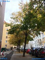 20181021-144437-pic_261