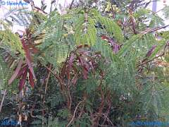 20181022-111320-pic_266