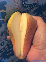 20181026-121713-pic_282