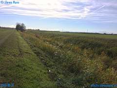 20181031-124514-pic_300