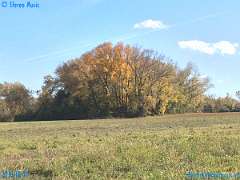 20181031-132409-pic_301