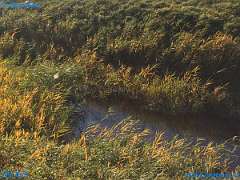 20181031-135640-pic_302