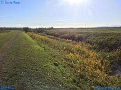 20181031-135649-pic_303