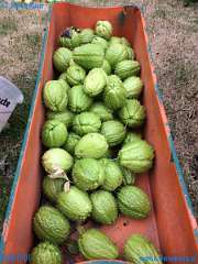 20181101-114351-pic_309